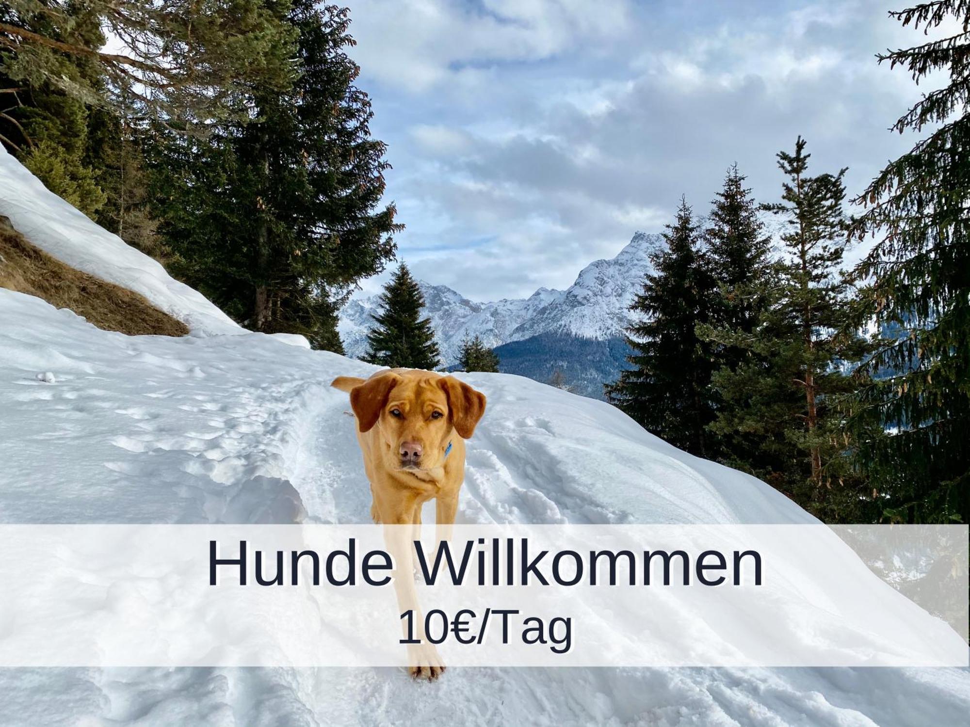 Ferienwohnung Rambold Sonnenterrasse Garmisch-Partenkirchen Esterno foto